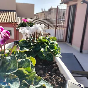 Krokos Ortigia Holiday home